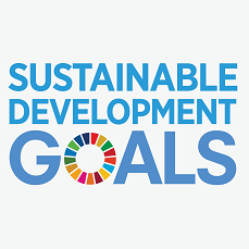 SDG logo still